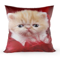Coussin - décorative - ANGRY- CAT - 40x40
