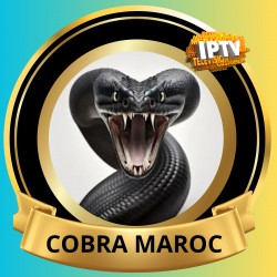 Cobra Maroc Iptv 12 Mois