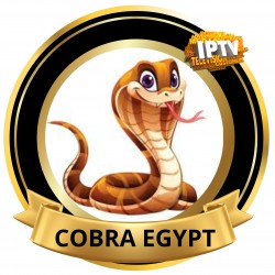 Cobra Egypte 12 Mois