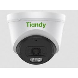 Caméra ip Tiandy Dôme 2MP couleur (TC-C32XN)