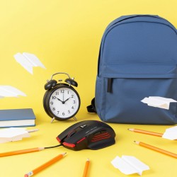 Souris optique - filaire - USB - Gamer