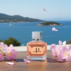 Parfum HIS POWER HOMME 100 ML