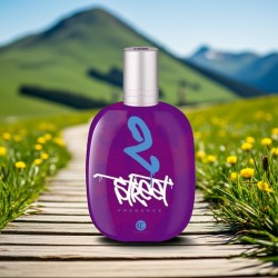 Parfum Pour femme street 2 CRISTIAN LAY 75ml