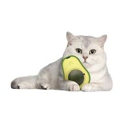 L'avocat le plus mignon que ton chat va adorer croquer