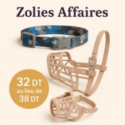 Pack protecteur Collier camouflage + Muselière pour chien