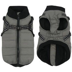 Le Must-Have des Chiens