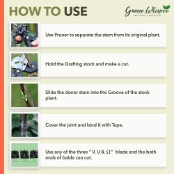 Ciseau de jardin à deux lames pour greffer des arbres