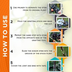 Ciseau de jardin à deux lames pour greffer des arbres