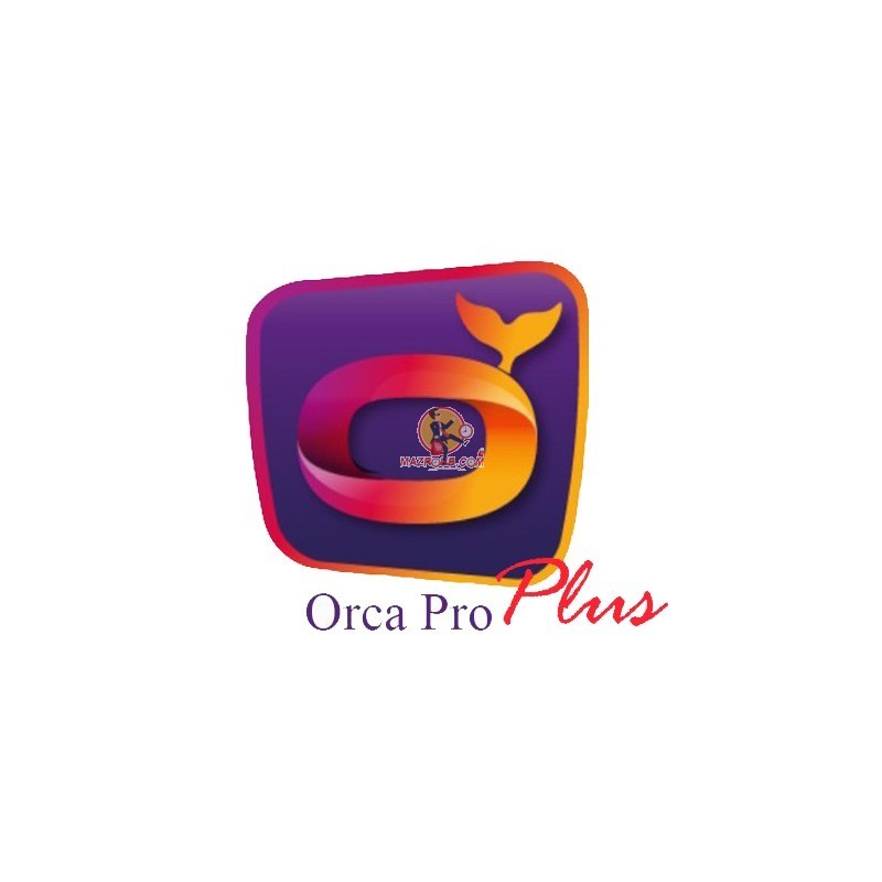 Abonnement 12 mois Orca pro+ - Mazroub.com