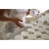 cours de formation fabrication de fromage et de produits laitiers