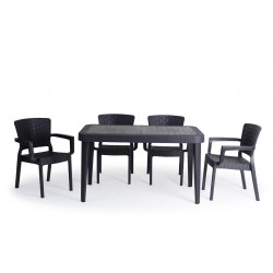 Sofpince Pack table + 4 chaises cross avec accoudoir NOIR